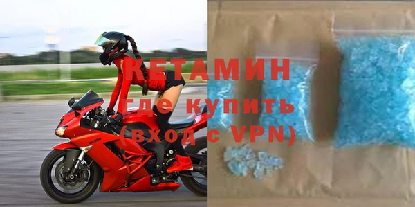 хмурый Аркадак