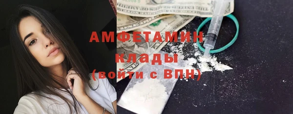 хмурый Аркадак