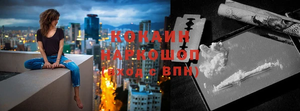 хмурый Аркадак
