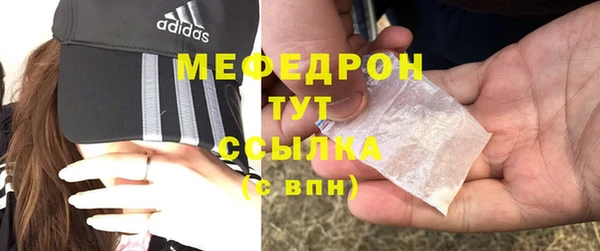 хмурый Аркадак