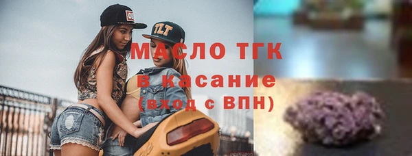 хмурый Аркадак