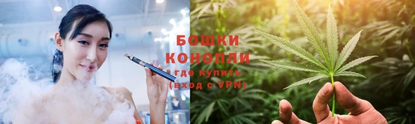 ГАЛЛЮЦИНОГЕННЫЕ ГРИБЫ Арсеньев