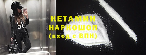 хмурый Аркадак