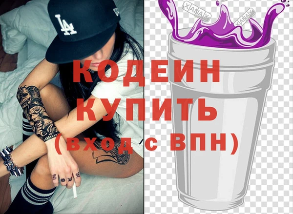 хмурый Аркадак
