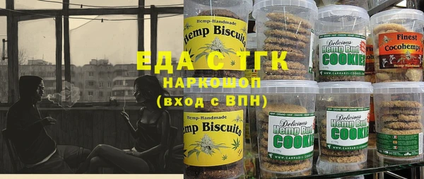 хмурый Аркадак