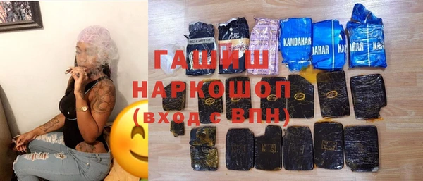хмурый Аркадак