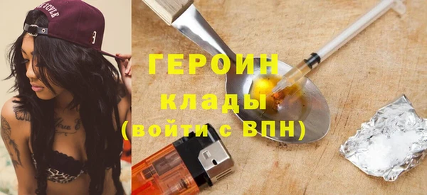 хмурый Аркадак