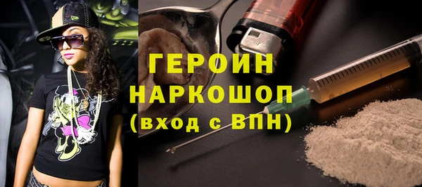 хмурый Аркадак