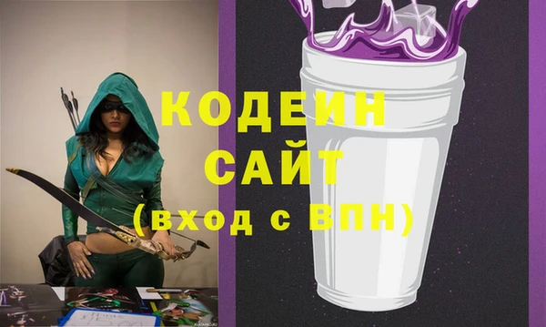 хмурый Аркадак