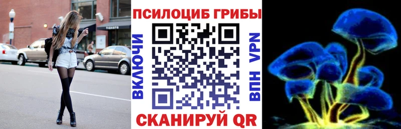 Галлюциногенные грибы Cubensis  Балей 